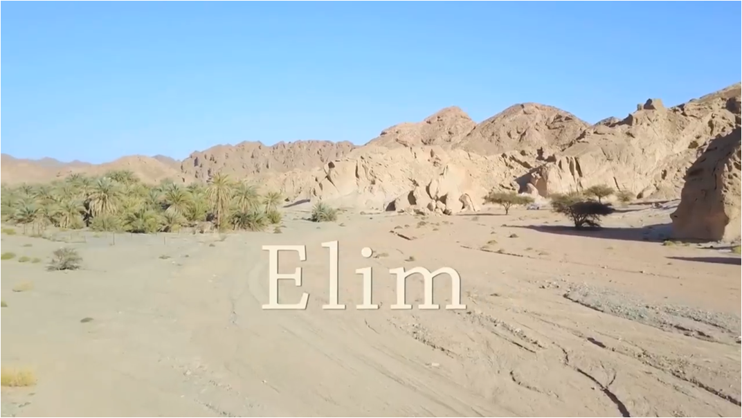 Elim in de Sinai-woestijn